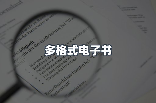 多格式电子书